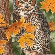 Схема вышивки «ночной страж»