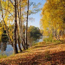 Схема вышивки «осень»