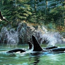 Схема вышивки «№1328328»