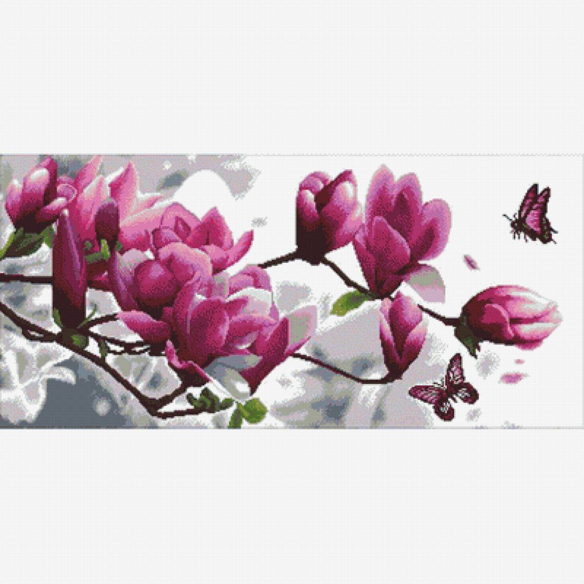 магнолии - цветы - предпросмотр