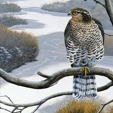 Схема вышивки «№1328491»