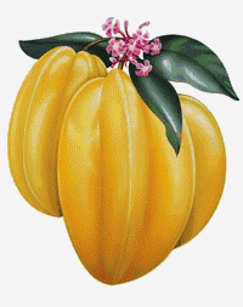 №1328845 - кухня.фрукты. - предпросмотр