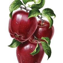 Схема вышивки «№1328868»