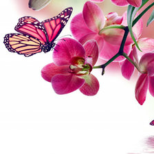 Схема вышивки «магнолии»