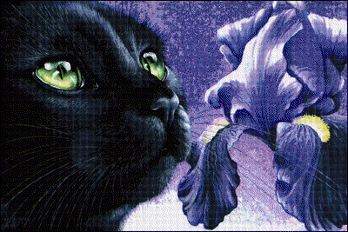 сапеарос - предпросмотр