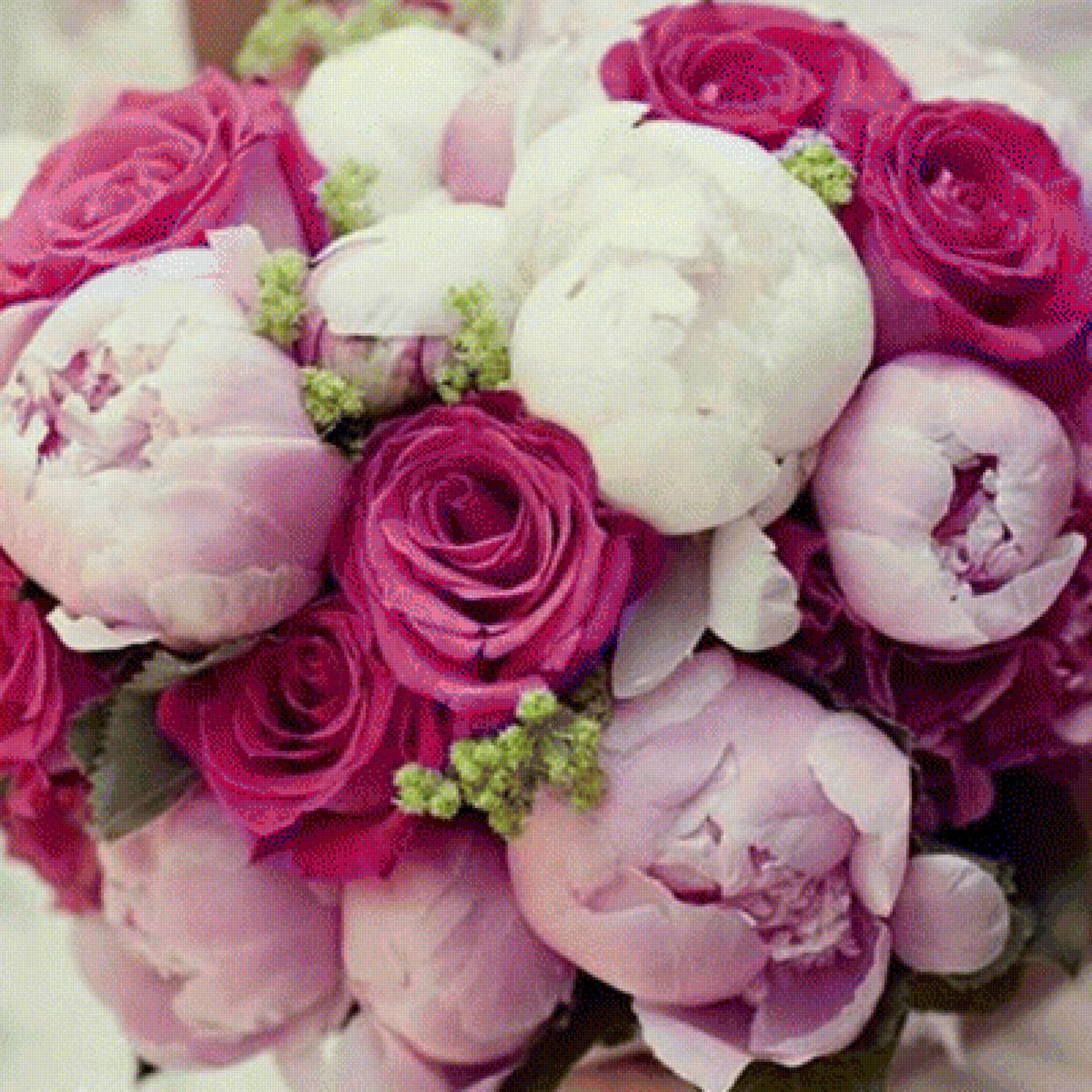 оло - предпросмотр