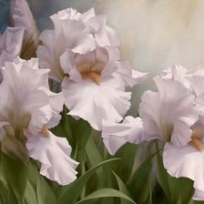 Схема вышивки «Сиреневые ирисы»