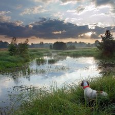 Схема вышивки «№1329767»