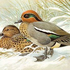 Схема вышивки «№1329936»