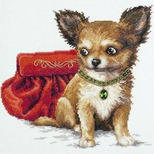 Схема вышивки «чихуа»