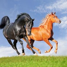 Схема вышивки «лошади»