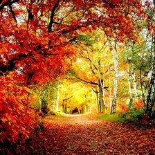 Схема вышивки «осень моя»