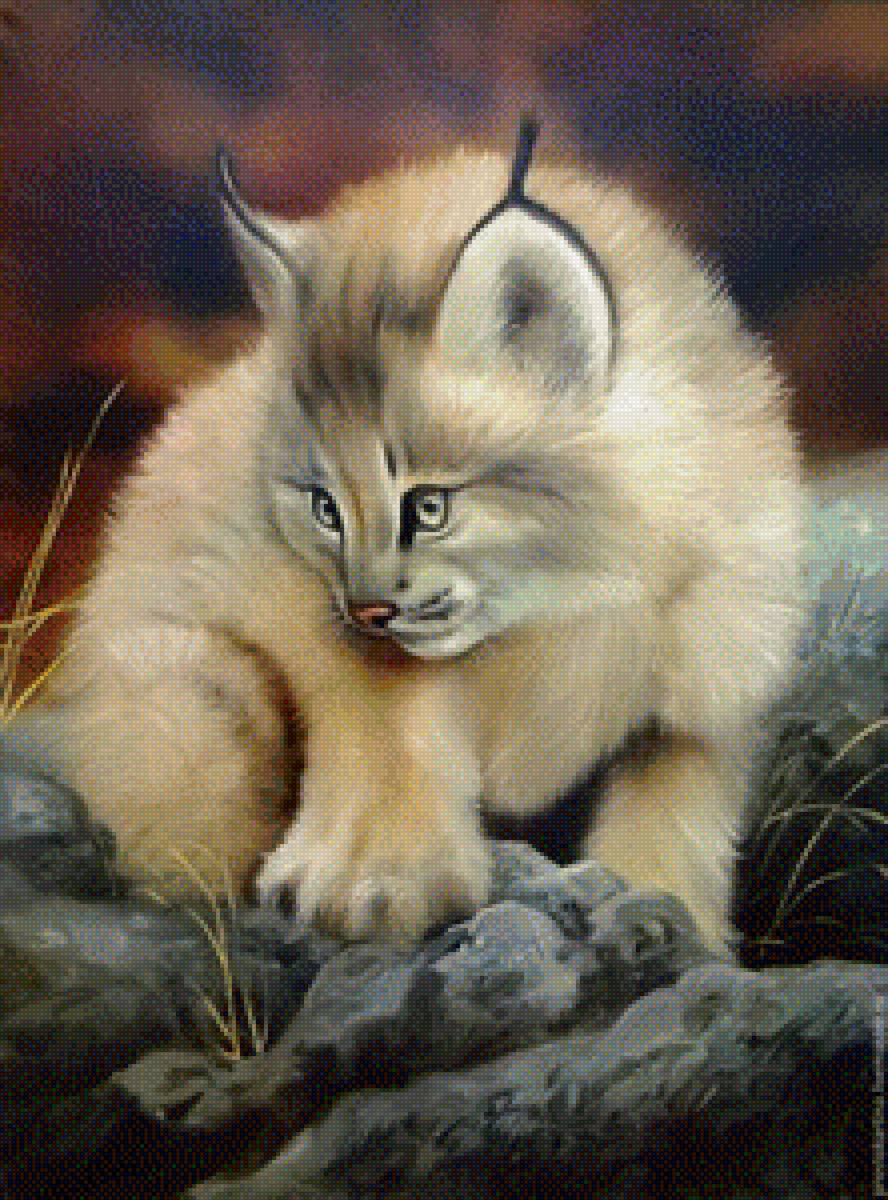 рысь-Я маленькая Рысь! - дикие животные - предпросмотр