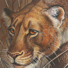 Схема вышивки «609»