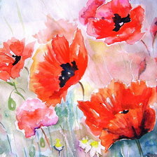 акварельные маки