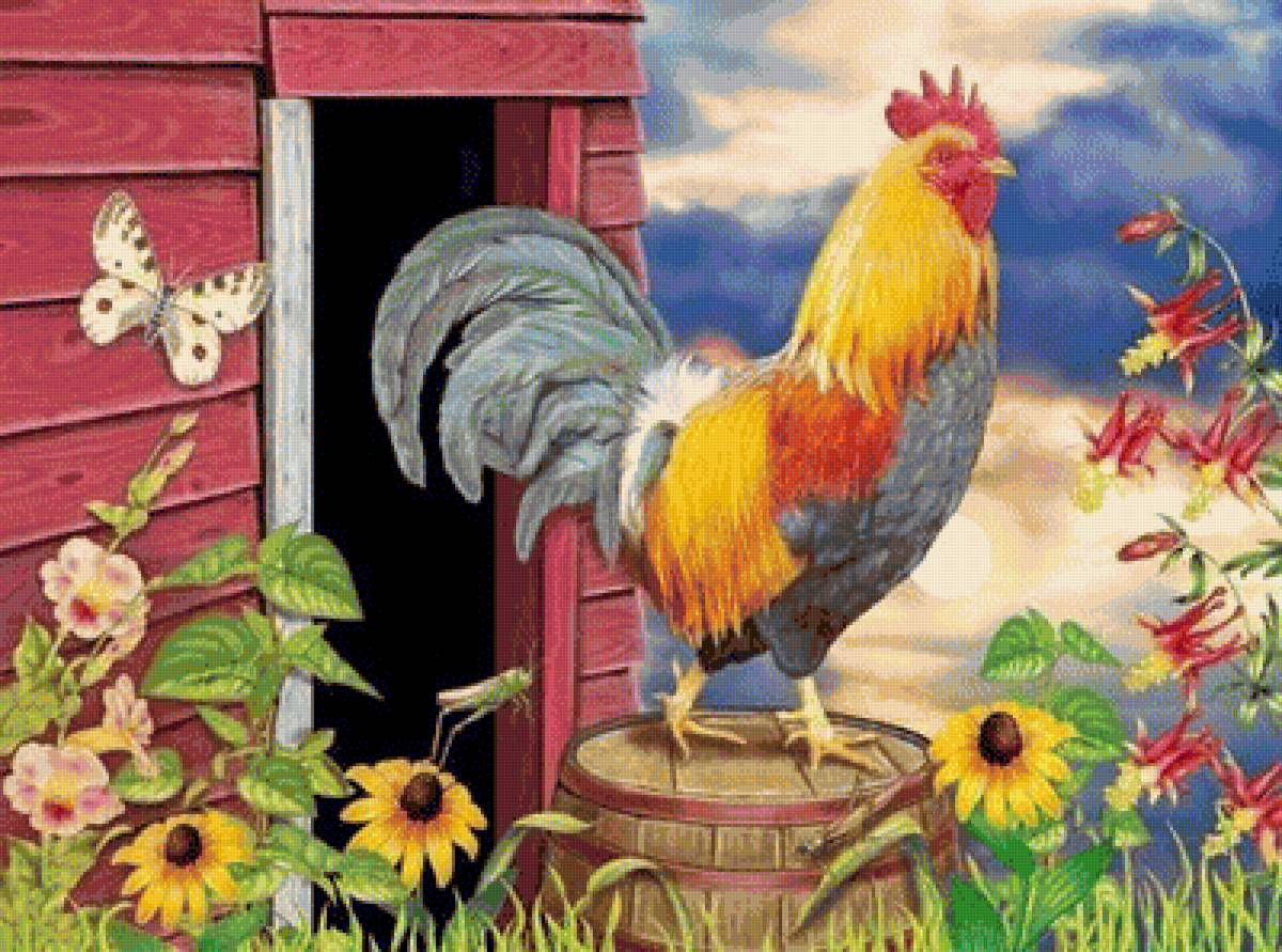 Quynh - gà - предпросмотр