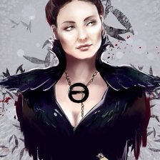 Схема вышивки «Санса Старк»