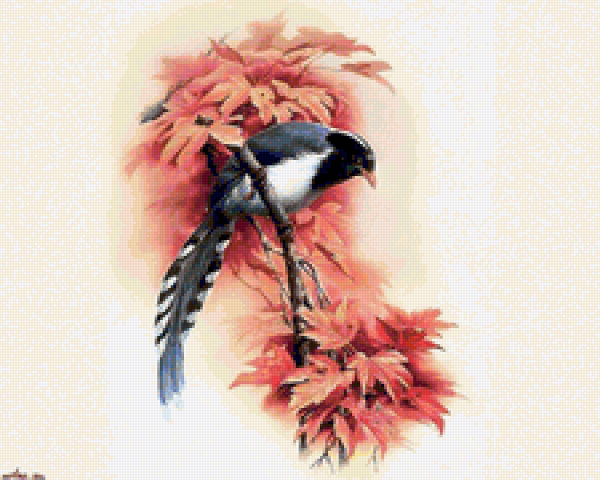 Птица - птицы - предпросмотр