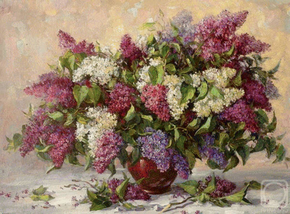 Букет сирени - сирень - предпросмотр