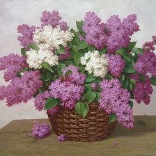 Корзина сирени