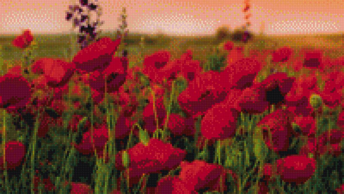 природа,цветы - природа - предпросмотр