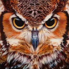 Схема вышивки «Сова»