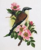 птица на ветке