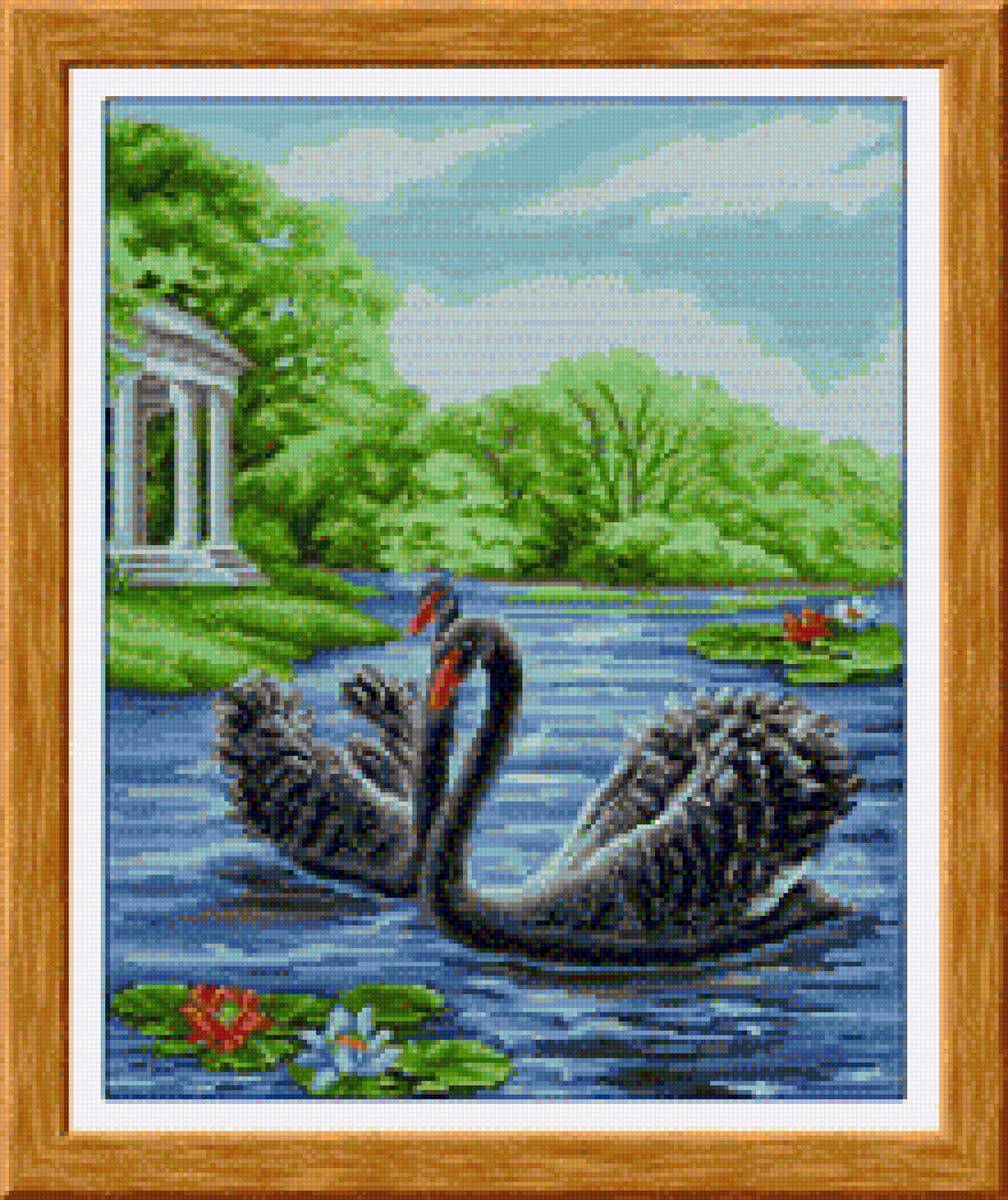 черные лебеди - предпросмотр