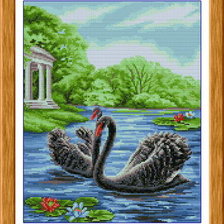 черные лебеди