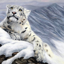 Схема вышивки «снежный барс»