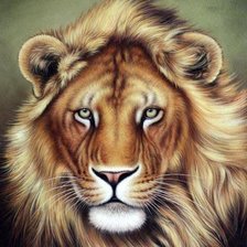 Схема вышивки «лев»