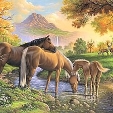 Схема вышивки «на водопое»