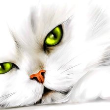 Схема вышивки «Кот»