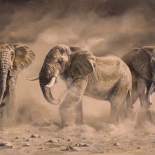 Схема вышивки «Слоны»