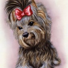 Схема вышивки «я - лапуля!»