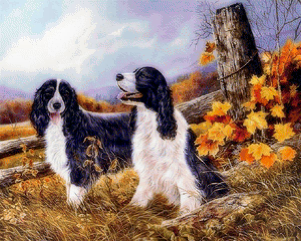 Спаниели на охоте - охота, собаки - предпросмотр