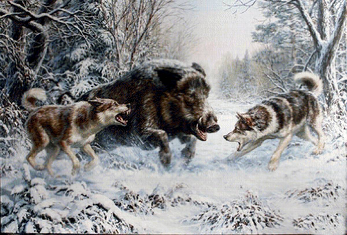 Охота на кабана - собаки, охота - предпросмотр