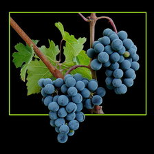 Схема вышивки «№1334419»