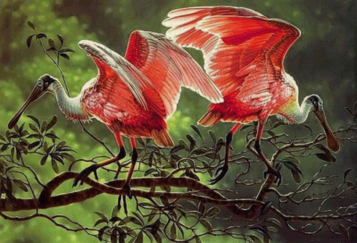 plameniaci - предпросмотр