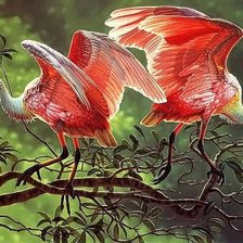 Схема вышивки «plameniaci»