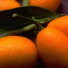 Схема вышивки «кумкват»