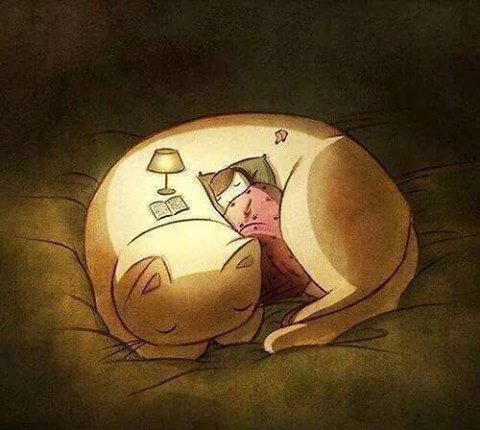 №1335220 - оригинал