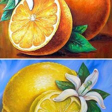 Схема вышивки «диптих "цитрус"»