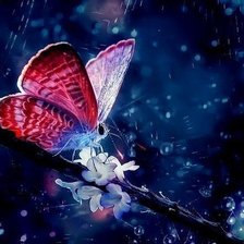 Схема вышивки «Бабочка»