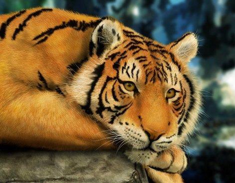 №1335666 - оригинал