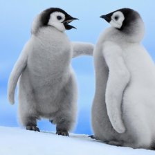 Схема вышивки «друзья»