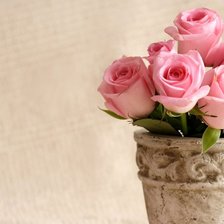 Схема вышивки «розы»