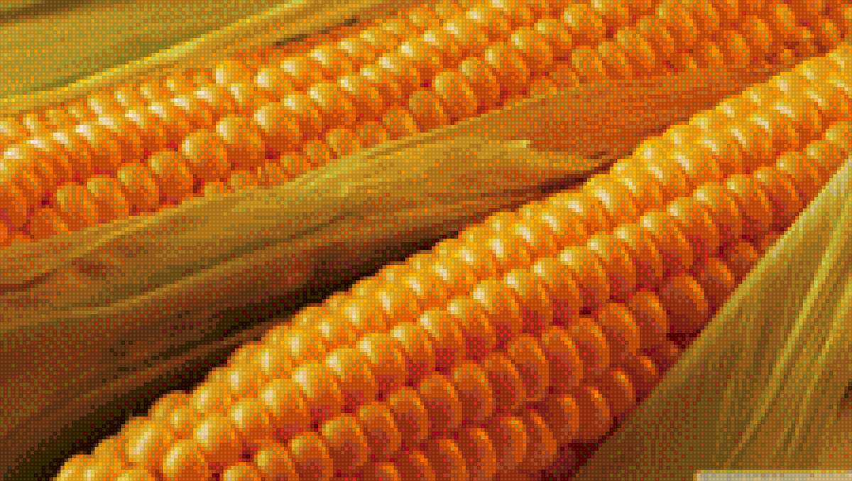 кукурузка - для кухни, кукуруза, еда, кухонная - предпросмотр