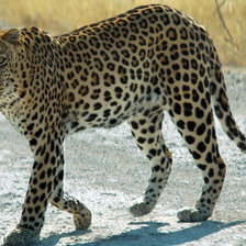 Схема вышивки «№1335915»