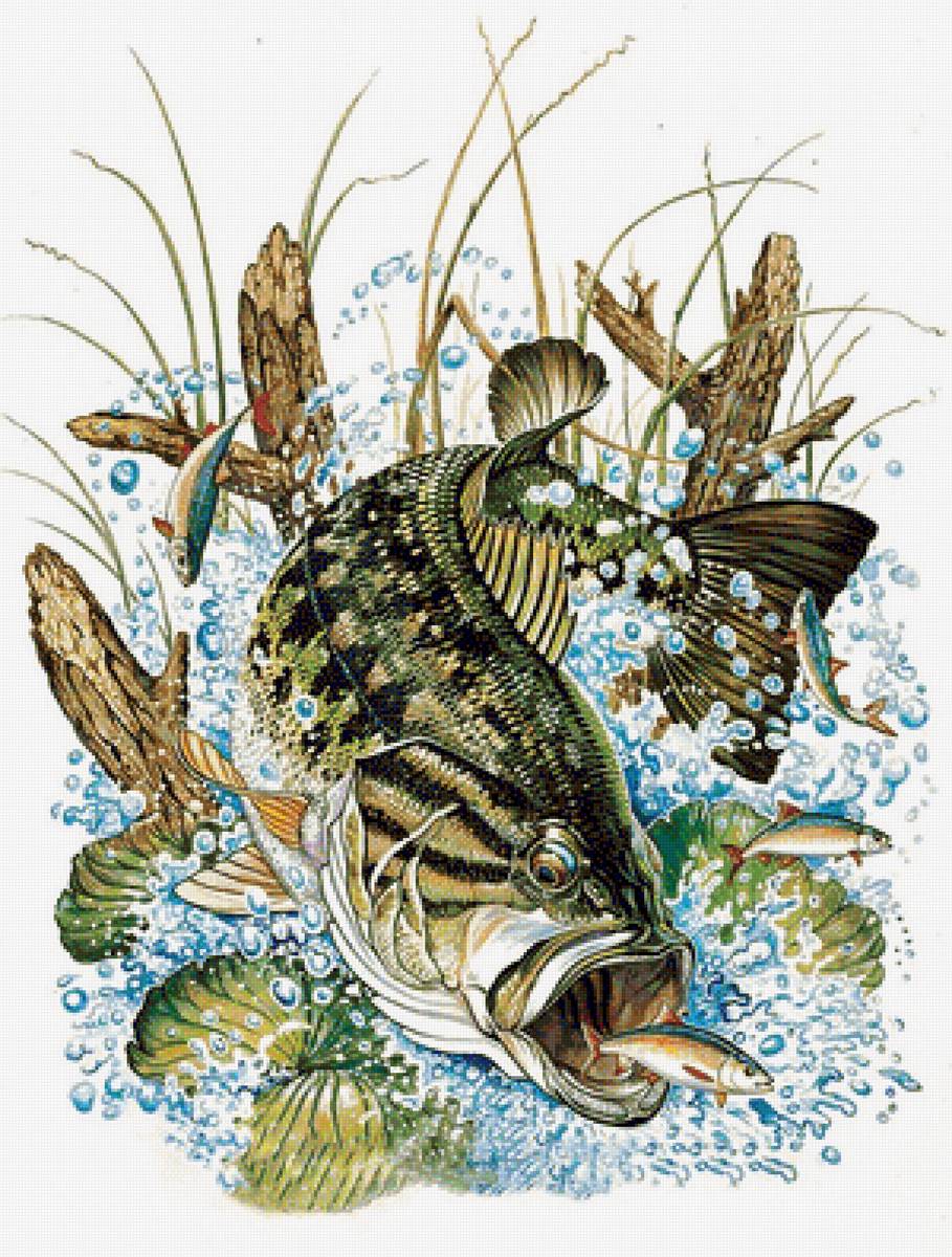 №1335973 - рыбалка, рыбы - предпросмотр